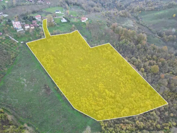Satılık Arsa - Tagorek Mahallesi, 30000 m² — görsel 3