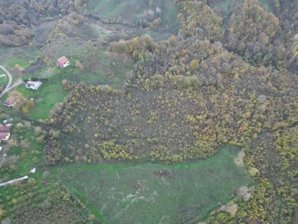 Satılık Arsa - Tagorek Mahallesi, 30000 m² — görsel 5