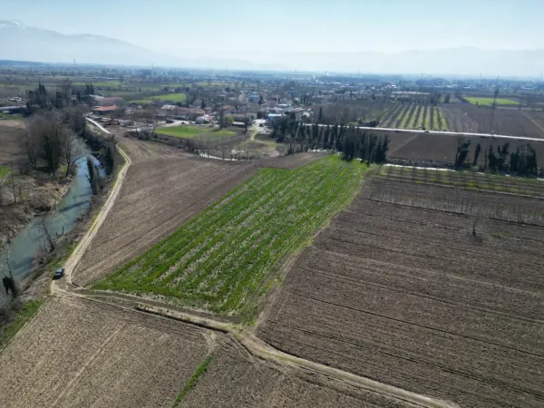 Satılık Arsa - Sofular Mahallesi, 7724 m² — görsel 6