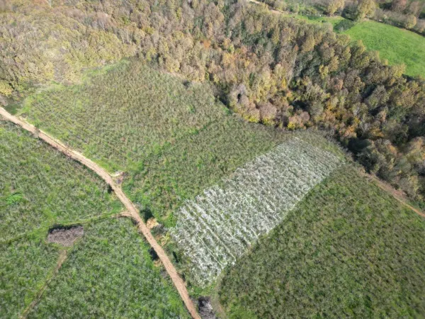 Satılık Arsa - Lütfiyeköşk Mahallesi, 2700 m² — görsel 5