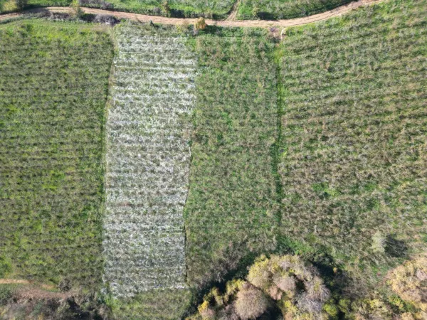 Satılık Arsa - Lütfiyeköşk Mahallesi, 2700 m² — görsel 7