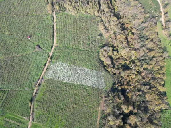 Satılık Arsa - Lütfiyeköşk Mahallesi, 2700 m² — görsel 2