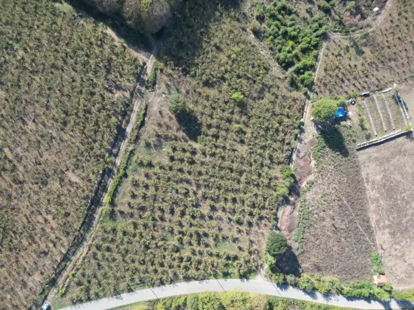 Satılık Arsa - Tagorek Mahallesi, 9530 m² — görsel 3