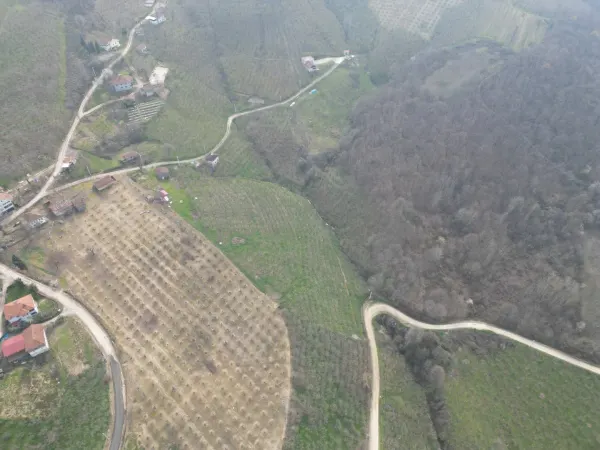 Satılık Tarla - Yeşilvadi Mahallesi, 29780 m² — görsel 5