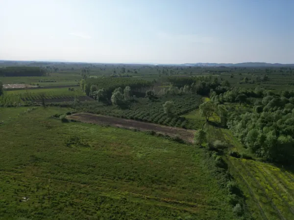 Hendek Sarıyer'de 4443m² Satılık Tarla
