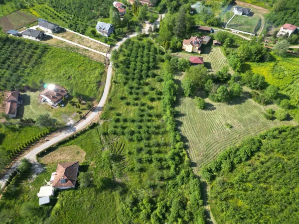 Hendek Sarıyer'de 8735m² İmarlı Arsa Satılık — görsel 5