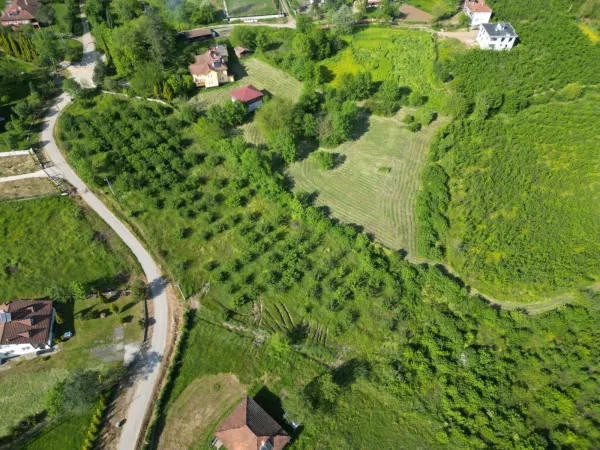 Hendek Sarıyer'de 8735m² İmarlı Arsa Satılık — görsel 6