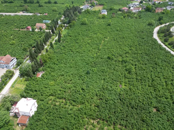 Sakarya Hendek Büyükdere 3 Kat İmarlı 450m² Satılık Arsa — görsel 2