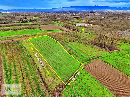TAPUHANEDEN ÇAYIRBAŞINDA 4952M2 TARLA