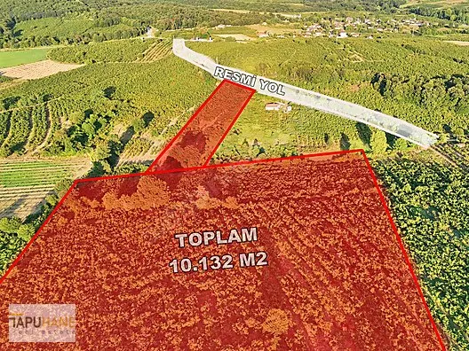 TAPUHANE REAL ESTATE - 10.132M2 A.ÇALICADA FINDIK BAHÇESİ