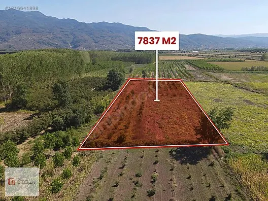 GÜRKAN GAYRİMENKUL MARTİNLER MAHALLESİNDE SATILIK 7837 M2 TARLA