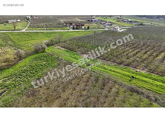 MERİÇ ÇAYRAK'TAN KAZIMİYEDE CAZİP FİYATA SATILIK ARSA&TARLA(dty)